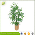 decorative wholesale dried bamboo bonsai tree for sale